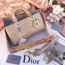 شنطة يد ديور هاي كواليتي 4