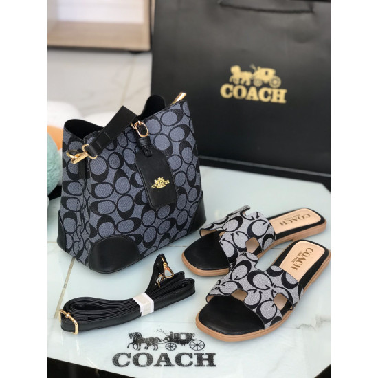 بكج كوتش مع شوز هاي كوالتي